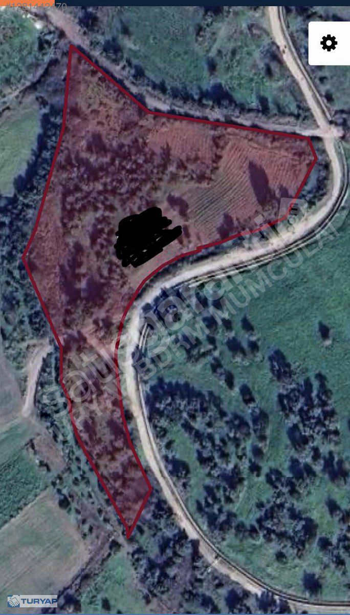 MUMCULAR / GÖLBAŞI MEVKİ SATILIK 10 BiN M2 FIRSAT ZEYTİNLİK