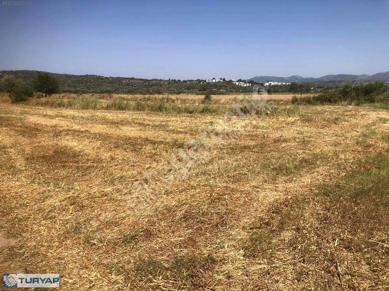 BODRUM MUMCULAR SATILIK TARLA 2221 M2