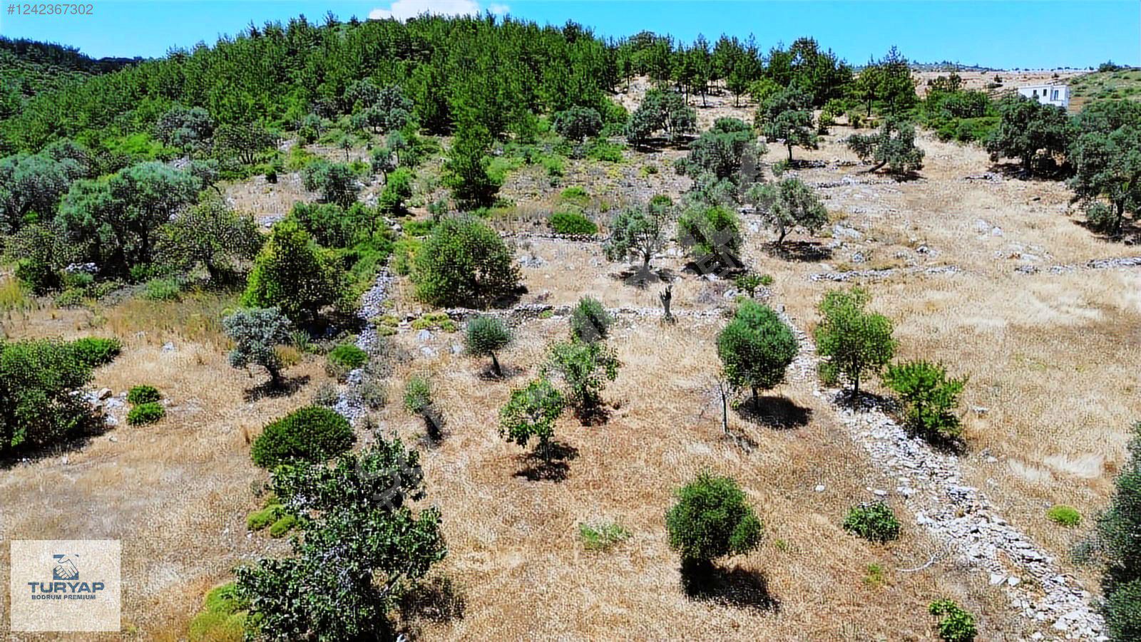 BODRUM YALIÇİTLİK YERLEŞİM YERİNDE SATILIK ARAZİ