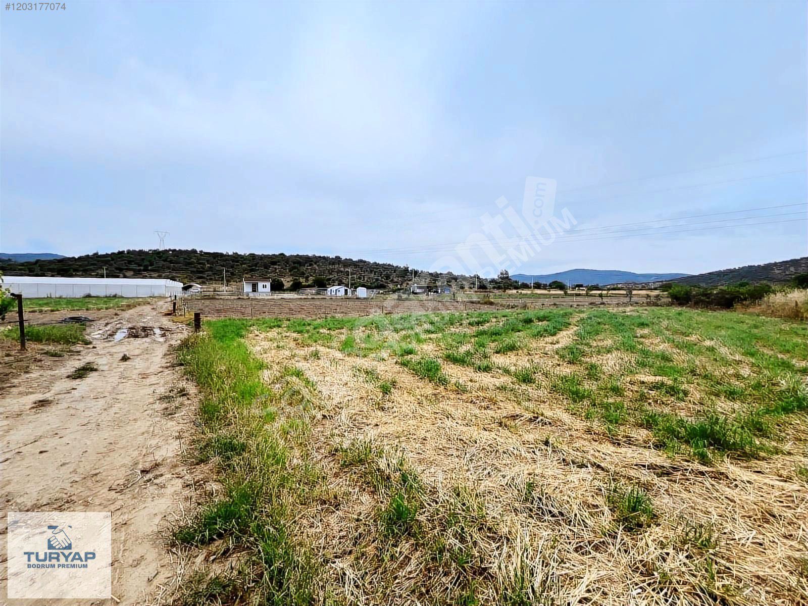 mumcularda 1 dönüm hobi bahcesi