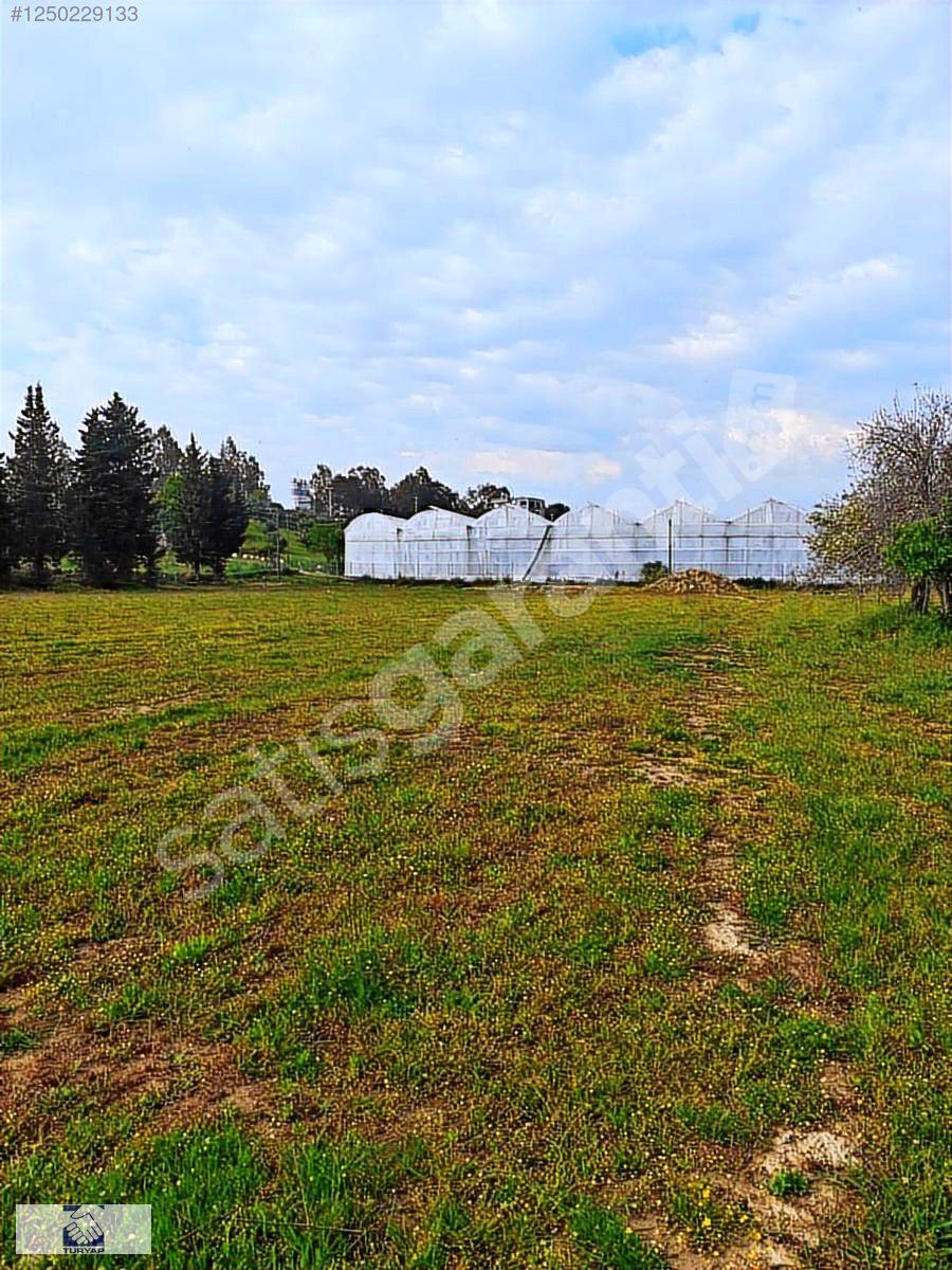 MANAVGAT KARACALAR 'DA YATIRIMLIK BAHÇE