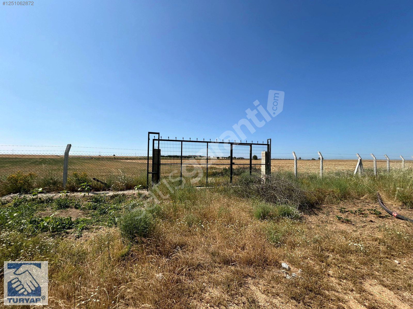 KIRKLARELİ;MERKEZ DEĞİRMENCİK KÖYÜNDE SATILIK 39.250m² CEVİZLİK