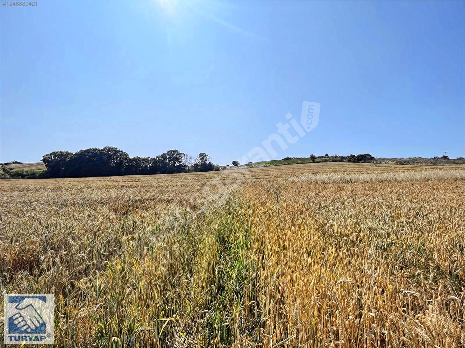 KIRKLARELİ BAYRAMDERE KÖYÜ SATILIK KONUT İMARLI ARSA