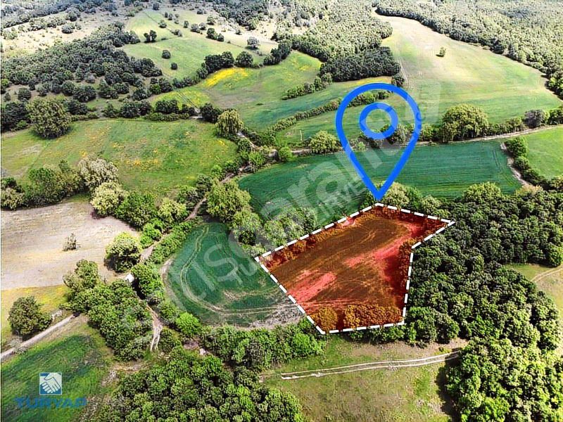 ÇANAKKALE BİGA HACIKÖY'DE 2931 M2 SATILIK TARLA