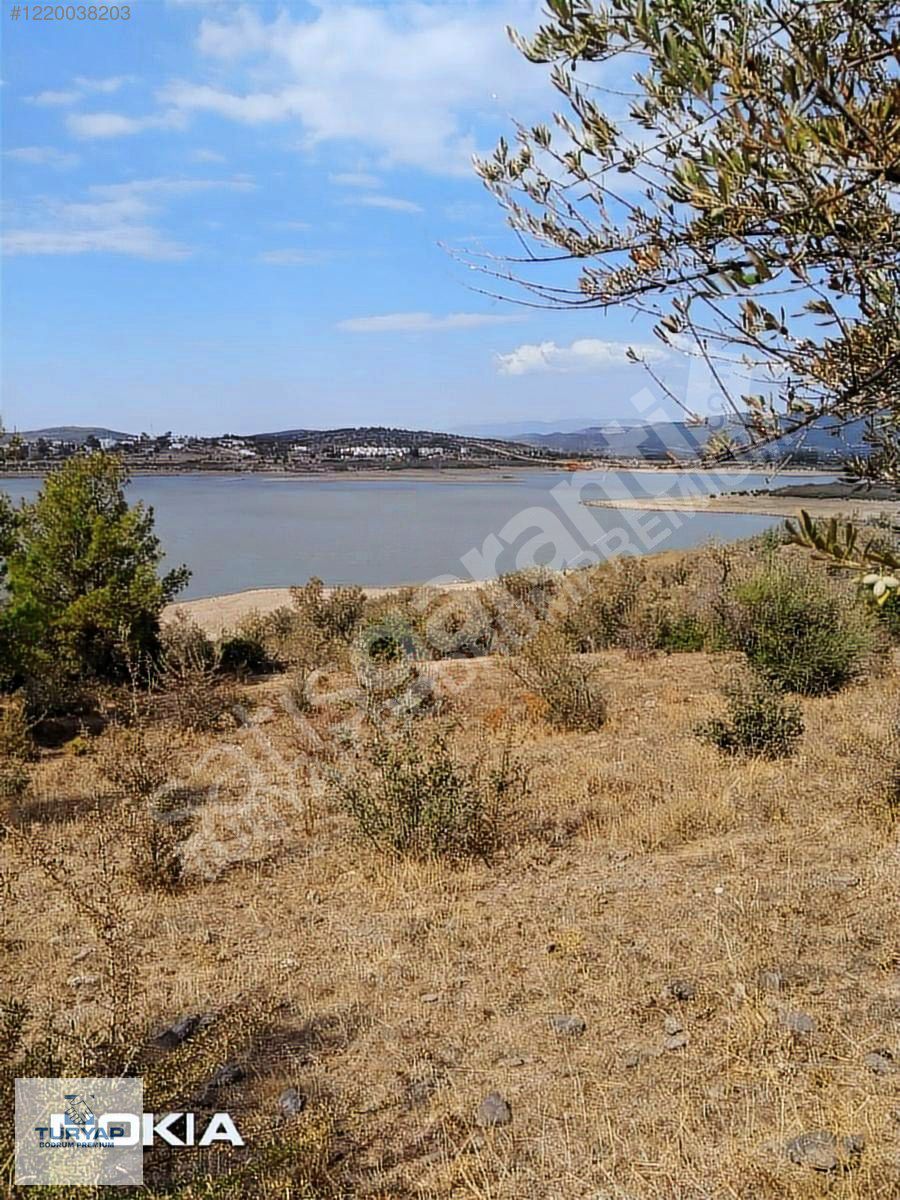 mumcular da elektrik su icinde kiralık tarla