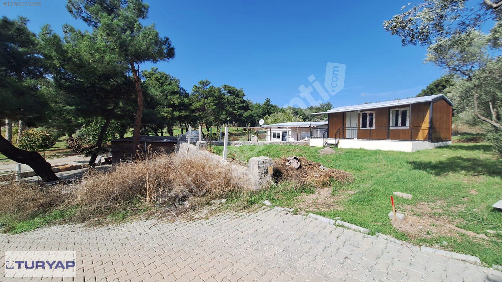 BUCA/KARAAĞAÇ KÖYÜNDE 1,185 M2 ZEYTİN AĞAÇLI SATILIK TARLA...