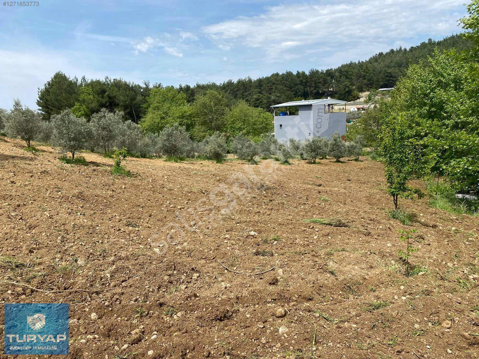 TURYAP TAN BELENBASINDA SATILIK ARSA