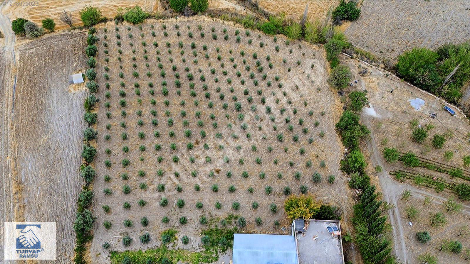 RAMSUDAN ZEY DE İNDERE KÖYÜNDE YATIRIMLIK SULU TARLA