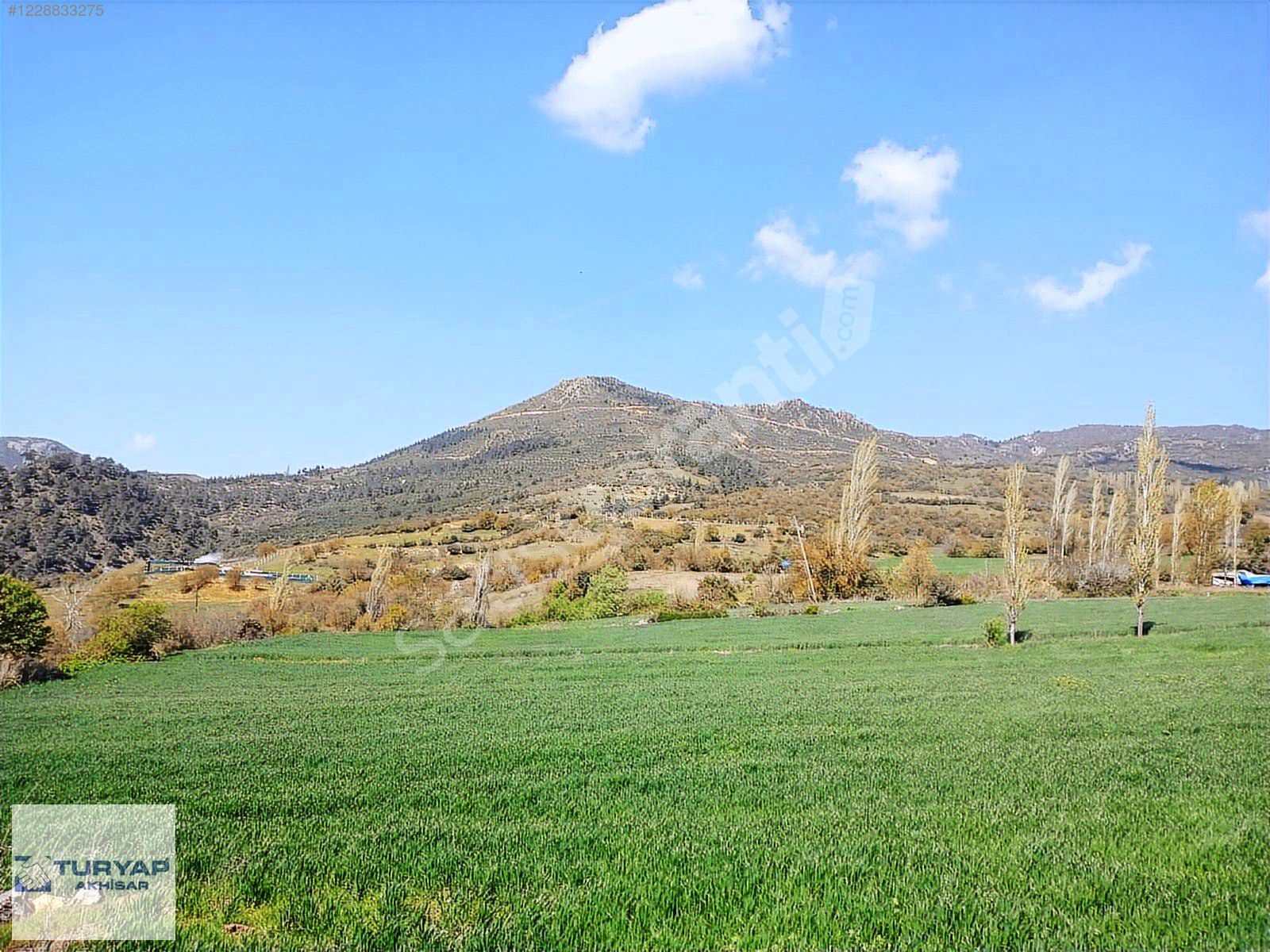 TURYAP Akhisar'dan Hisaralan Mahallesi'nde Satılık Tarla.