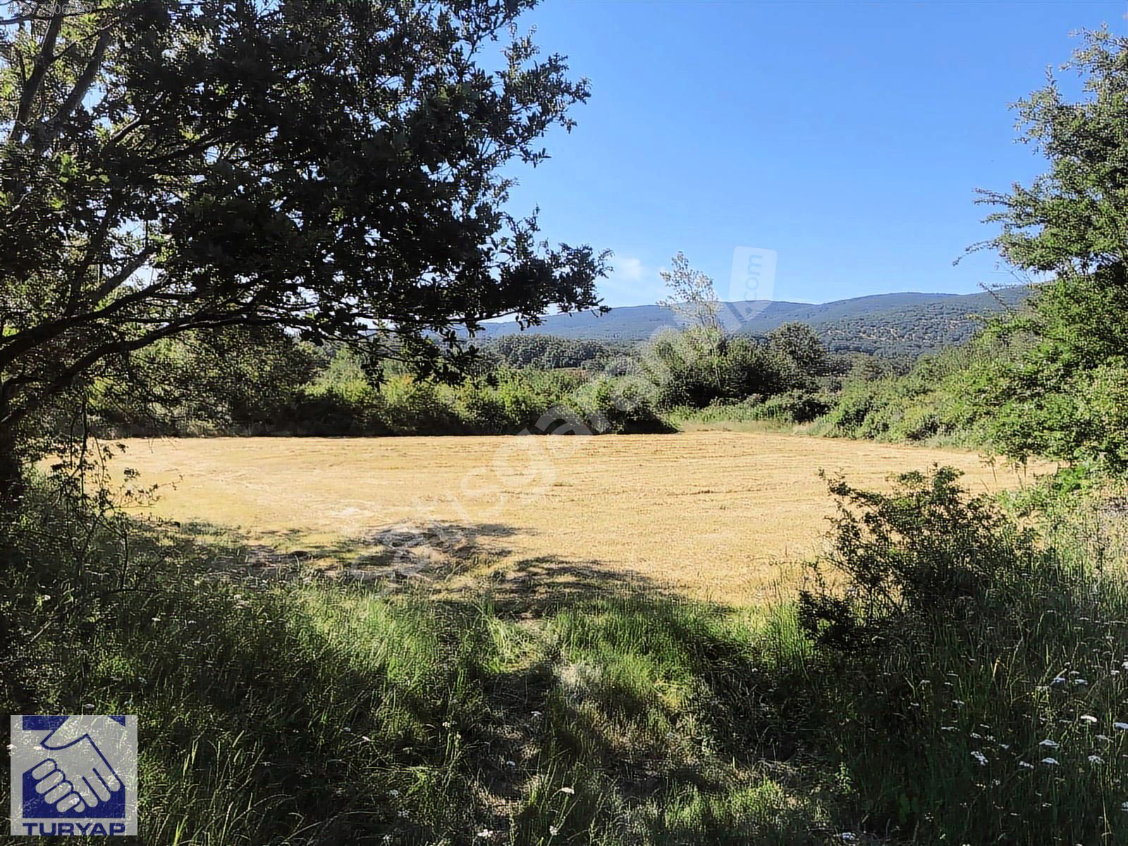 PINARHİSAR EVCİLER KÖYÜNDE SATLIK 1.808 METREKARE TARLA