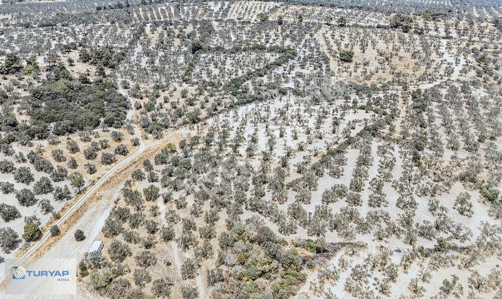 TURYAPTAN HELVACI'DA 3.072 M2 TARLA