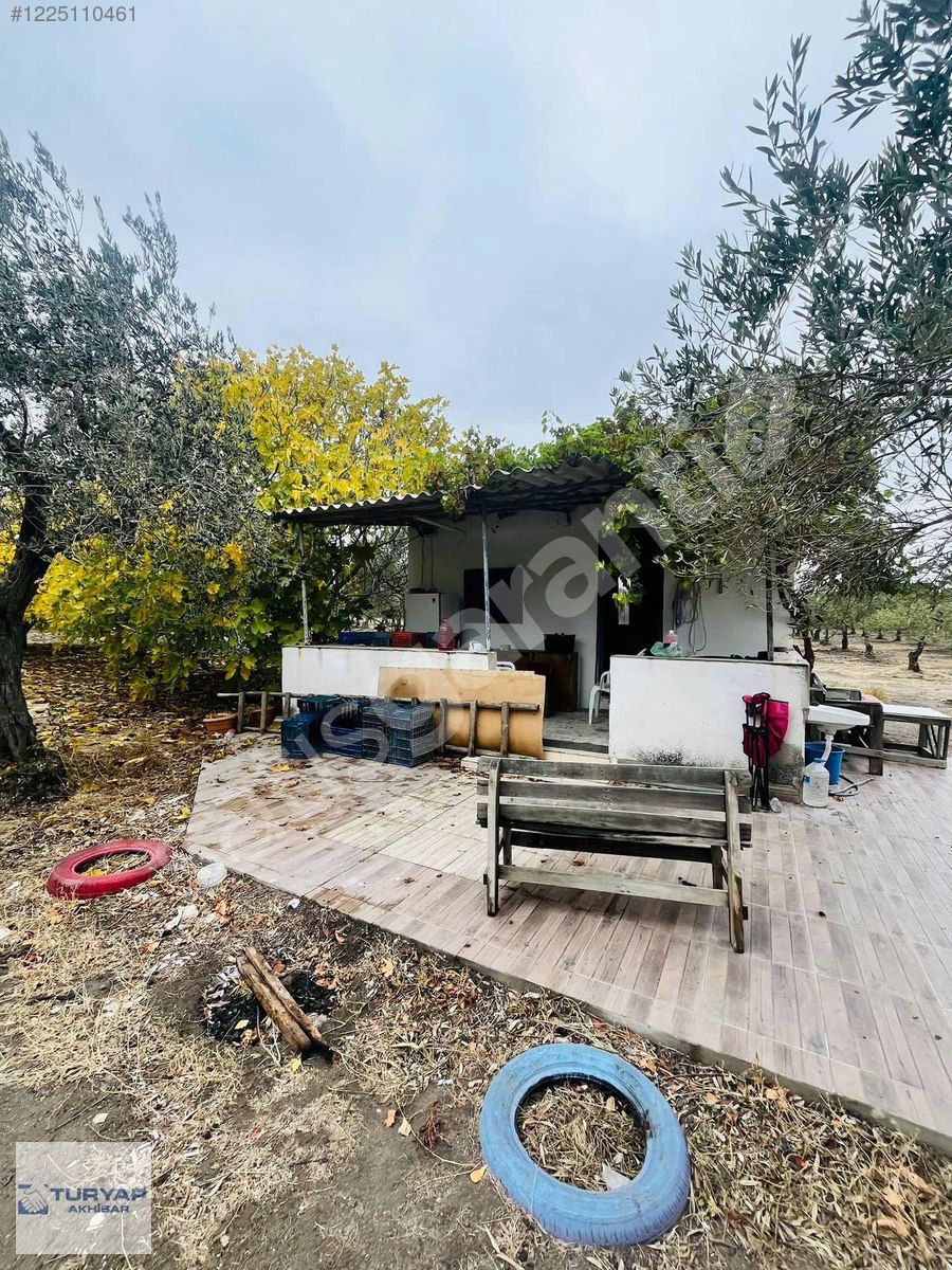 BÜNYAMİN OSMANİYE'DE ELEKTRİK,SU,YOL,EVİ BULUNAN ZEYTİNLİK