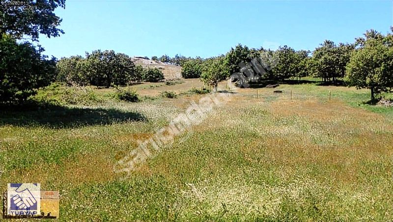 PINARHİSAR EVCİLER KÖYÜNDE MÜSTAKİL PARSEL ARSA