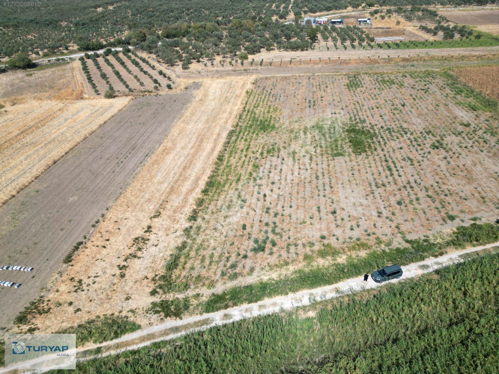 MENEMEN TÜRKELLİDE 5000m2 YOLA CEPHE SATILIK TARLA