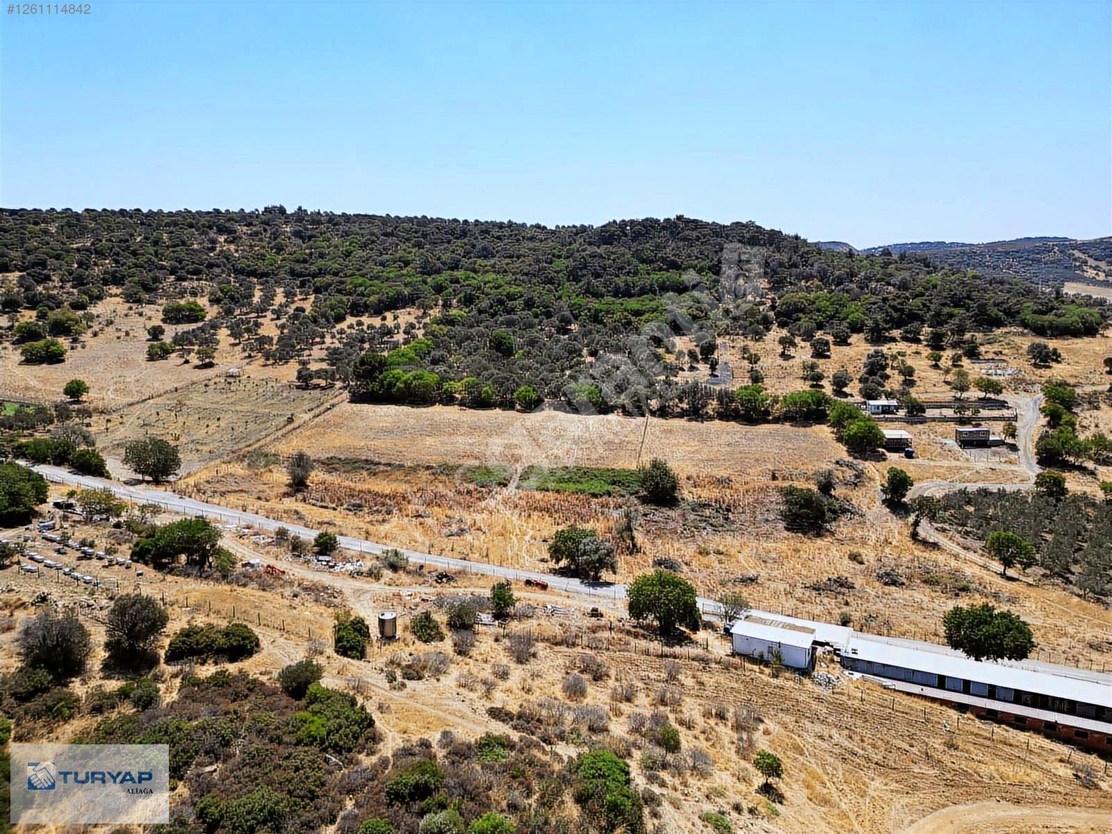 FOÇA KOZBEYLİ'DE YATIRIM FIRSATI