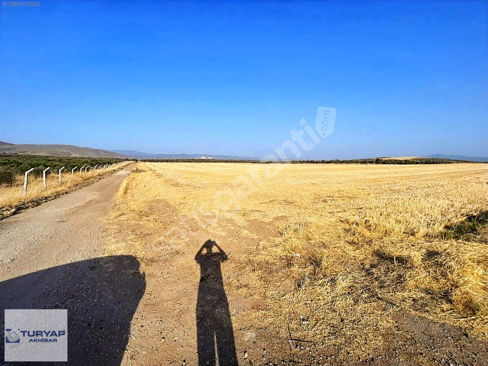 YOLA 385 METRE CEPHELİ ELEKTRİK ve SUYU OLAN 49 DÖNÜM TARLA