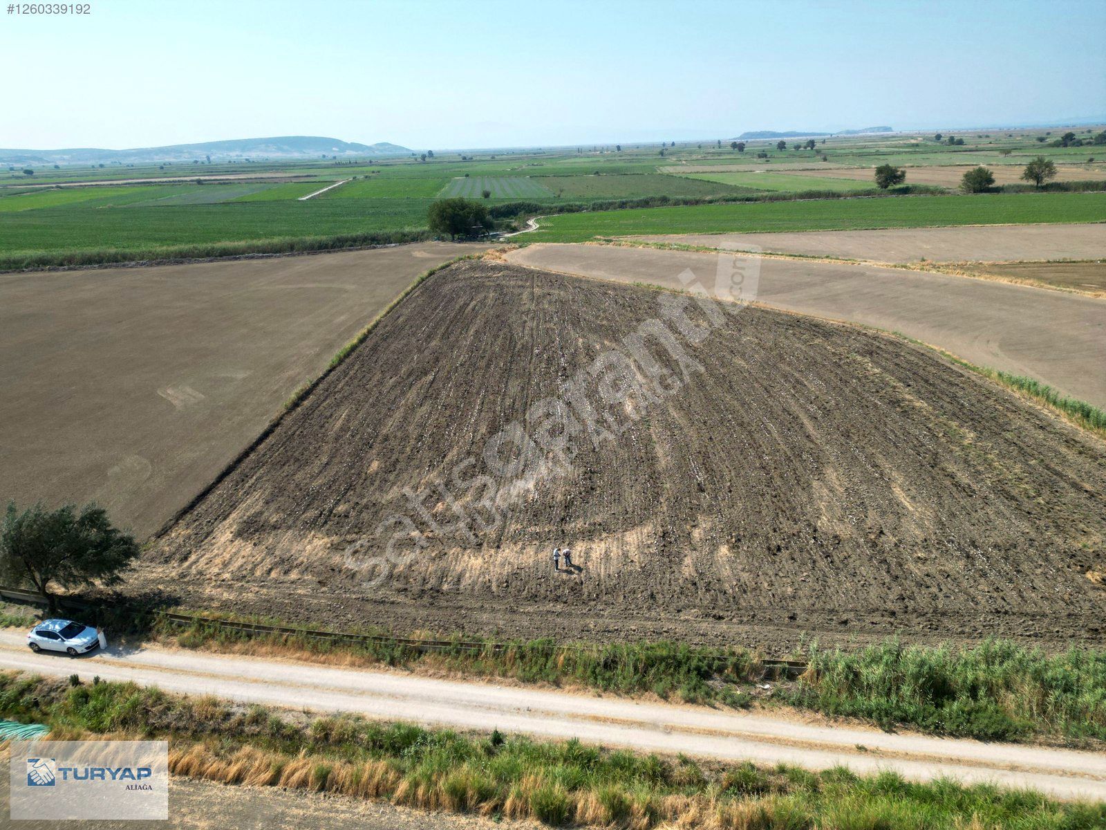 FOÇA GERENKÖYDE VERİMLİ ÜRÜN ALACAĞINIZ SATILIK TARLA
