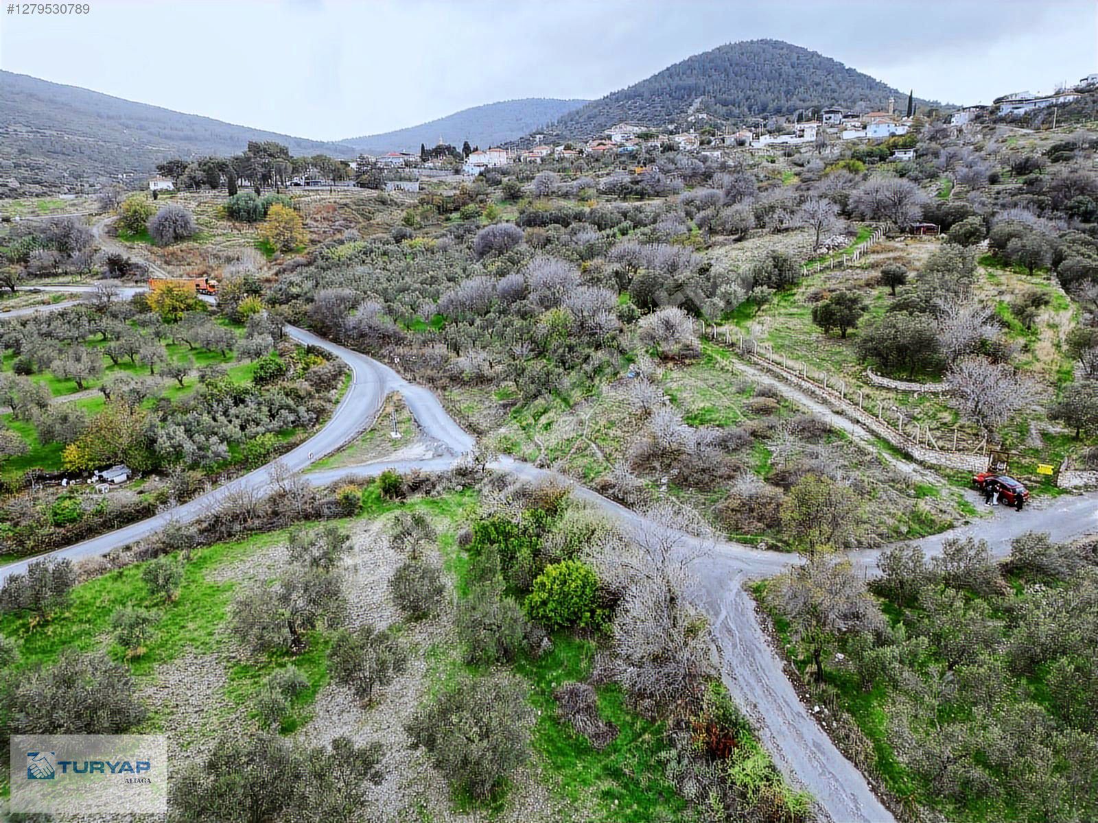 ALİAĞA GÜZELHİSARDA 6117M2 MÜSTAKİL TAPULU ZEYTİNLİK