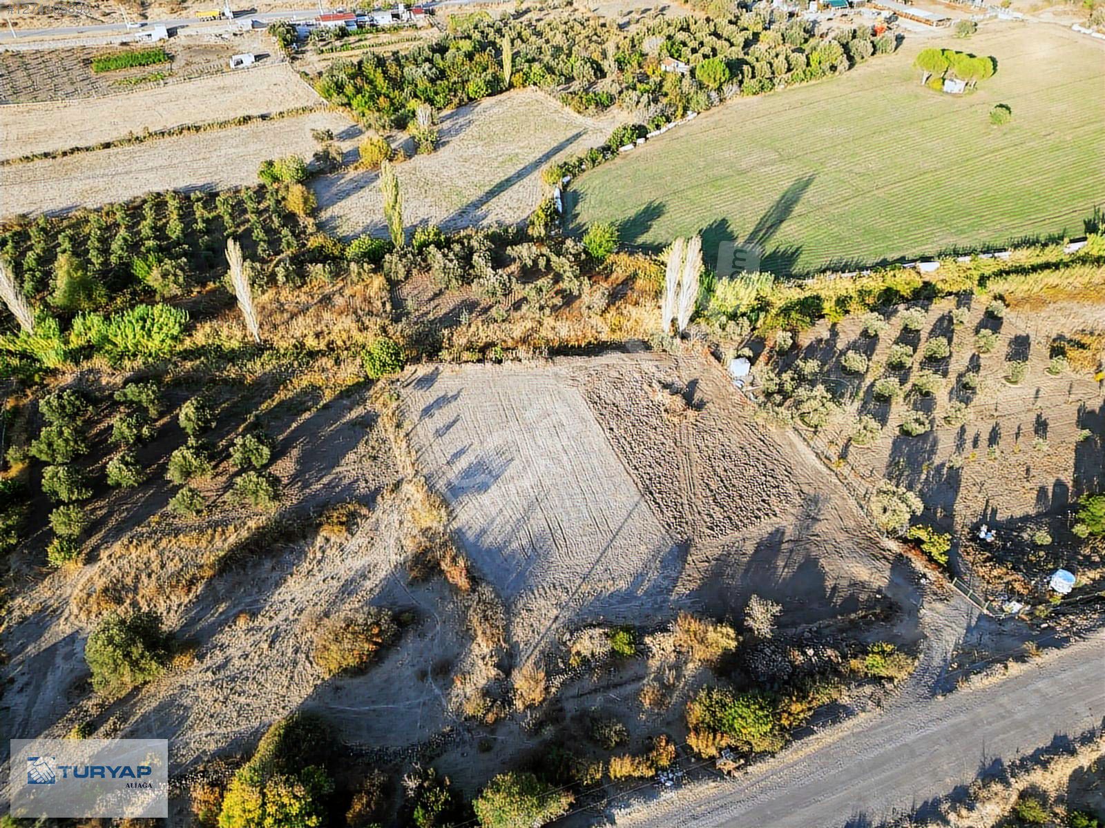 ALİAĞA UZUNHASANLAR YOLA CEPHE 1717m2 SATILIK TARLA