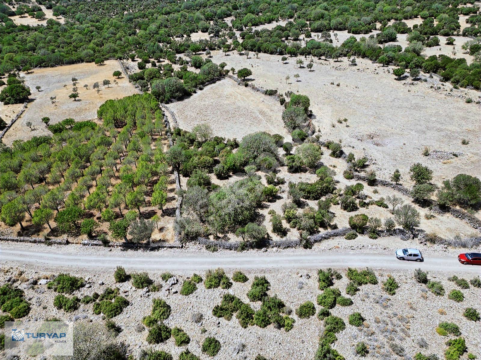 TURYAP'TAN FIRSAT SATILIK TARLA