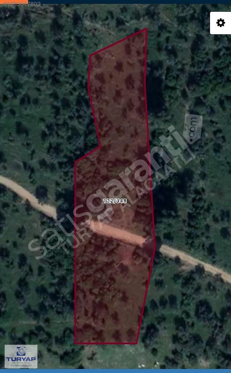 TURYAPTAN İZMİR BAYINDIR ÇENİKLER TEK TAPU 3490m2 ZEYTİNLİK ARSA