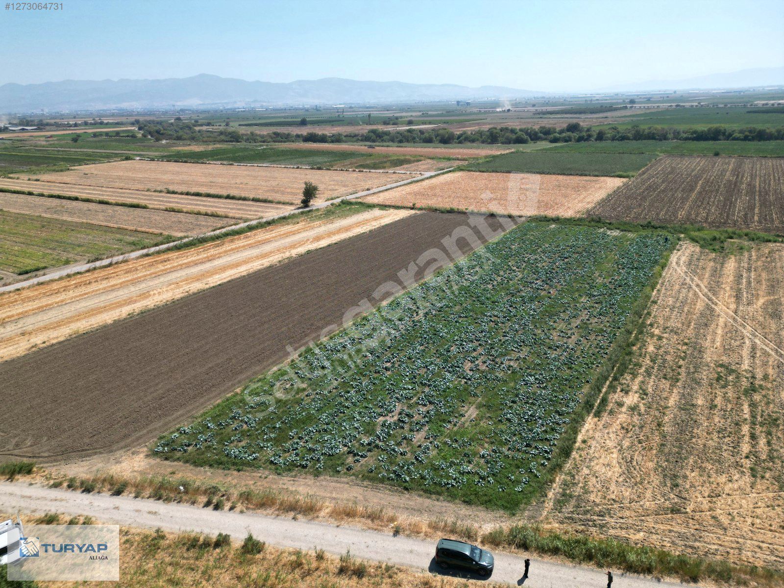 MENEMEN TÜRKELLİDE 5196m2 ASFALT YOLA CEPHE SATILIK TARLA