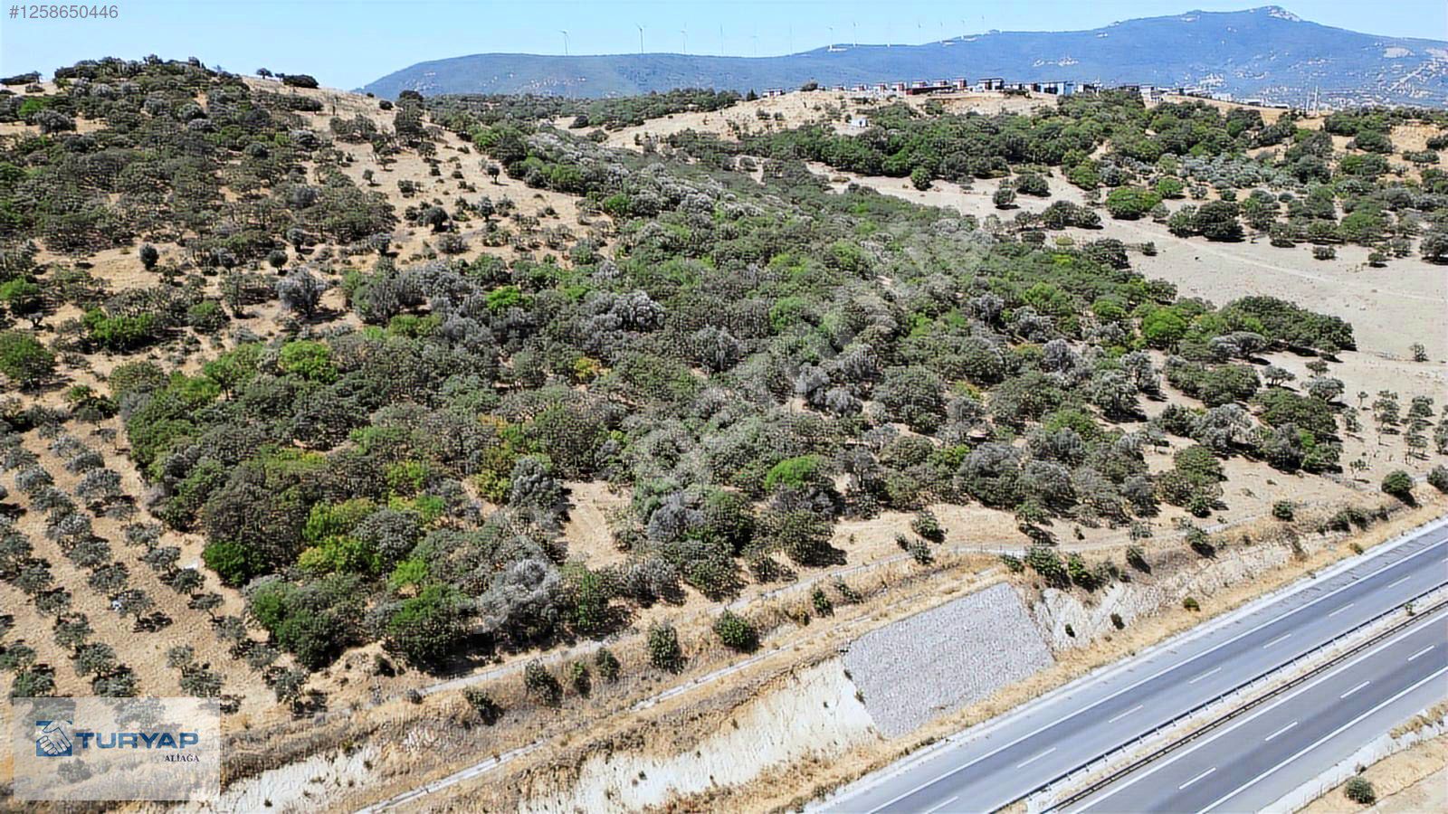 Aliağa Horozgediği'nde Yatırımlık Tarla