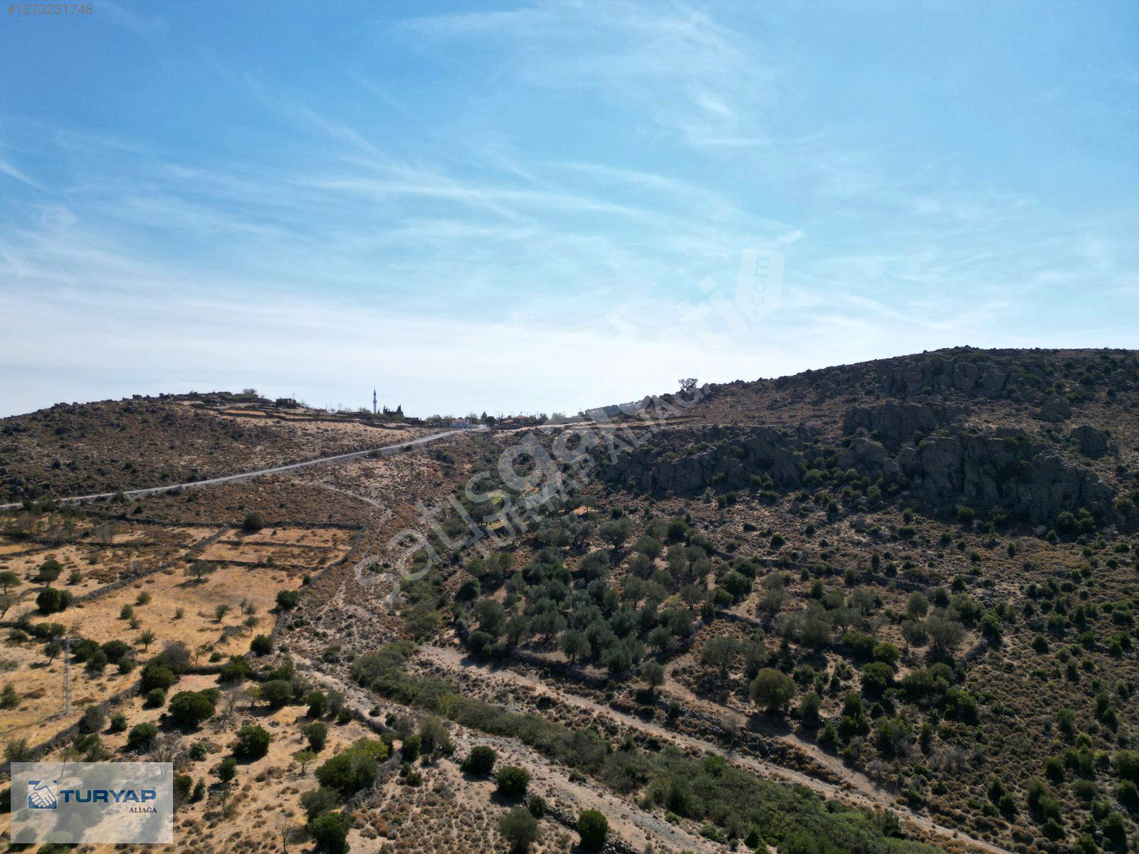 TURYAP'TAN KAPUKAYA DA SATILIK ZEYTİNLİK