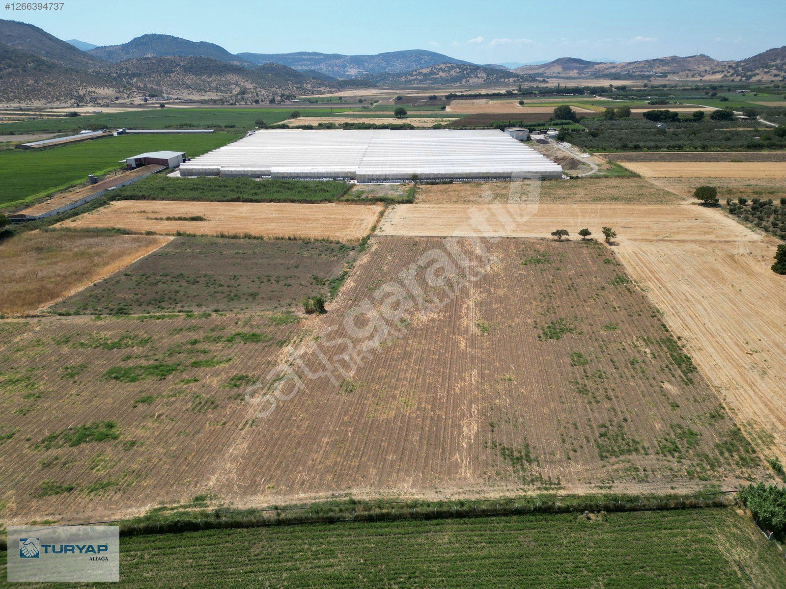 DİKİLİ İSMETPAŞA'DA FIRSAT FİYATTA SATILIK HOBİ BAHÇESİ