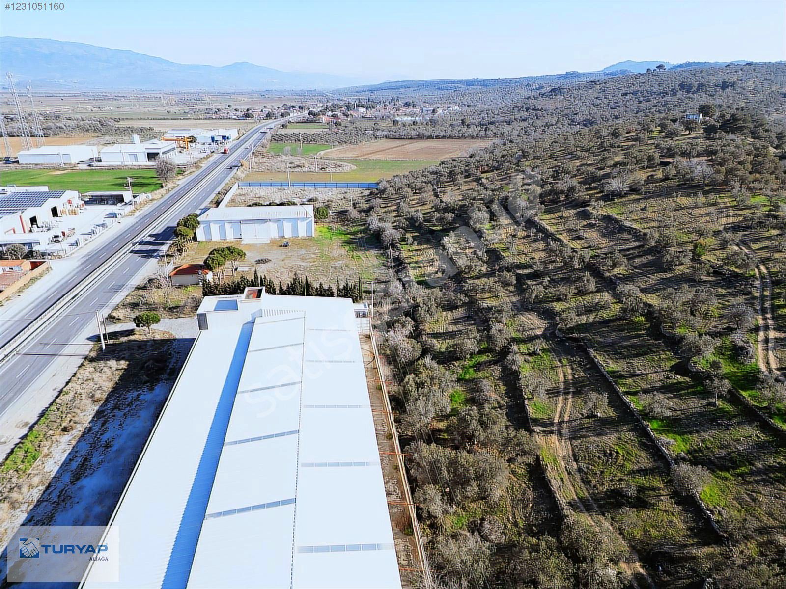 ÇANAKKALE ASFALTI ÜZERİNDE (3.384) M2 SATILIK ZEYTİNLİK