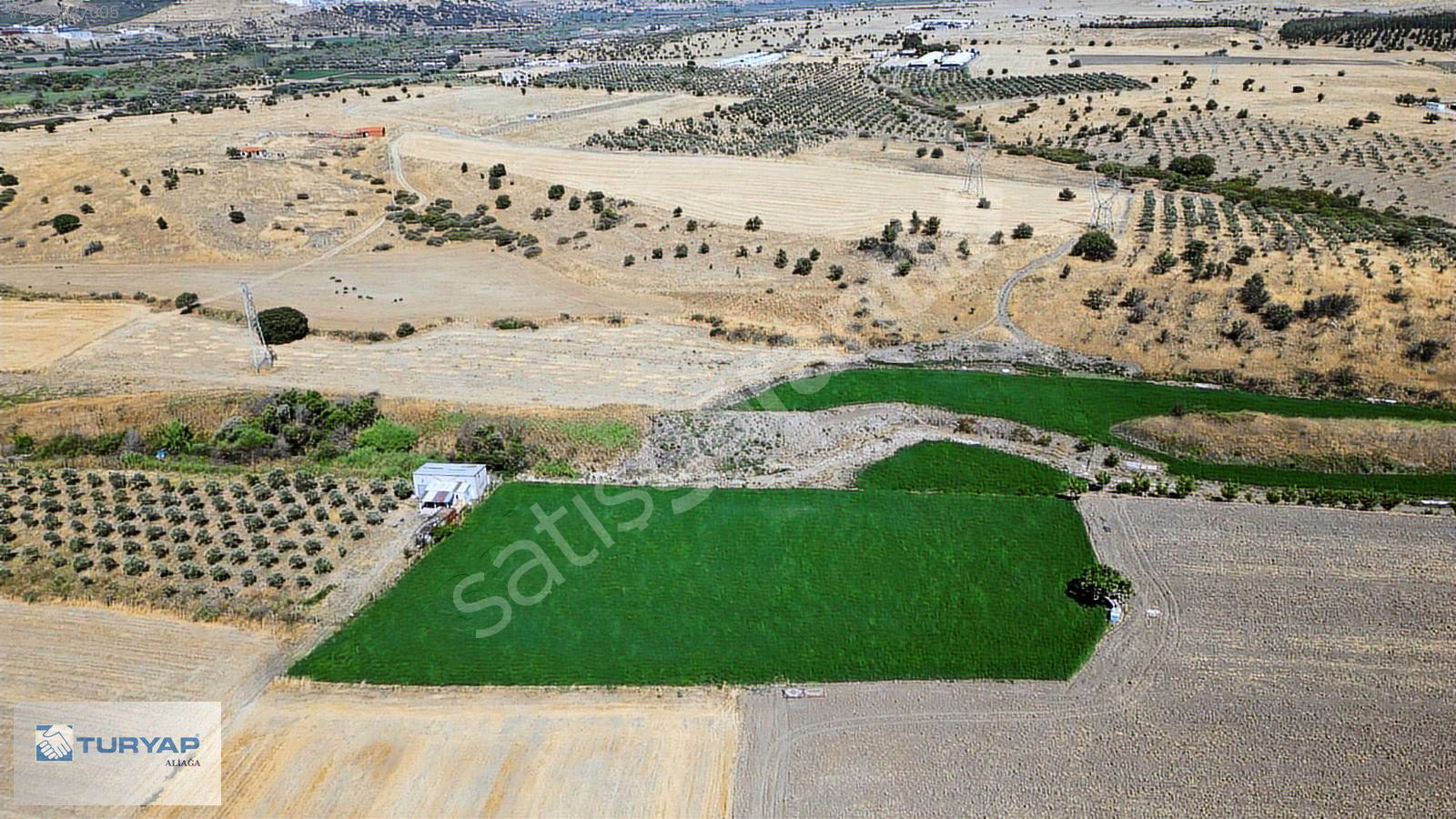 Güzelhisar'da Tek Tapu Satılık Tarla