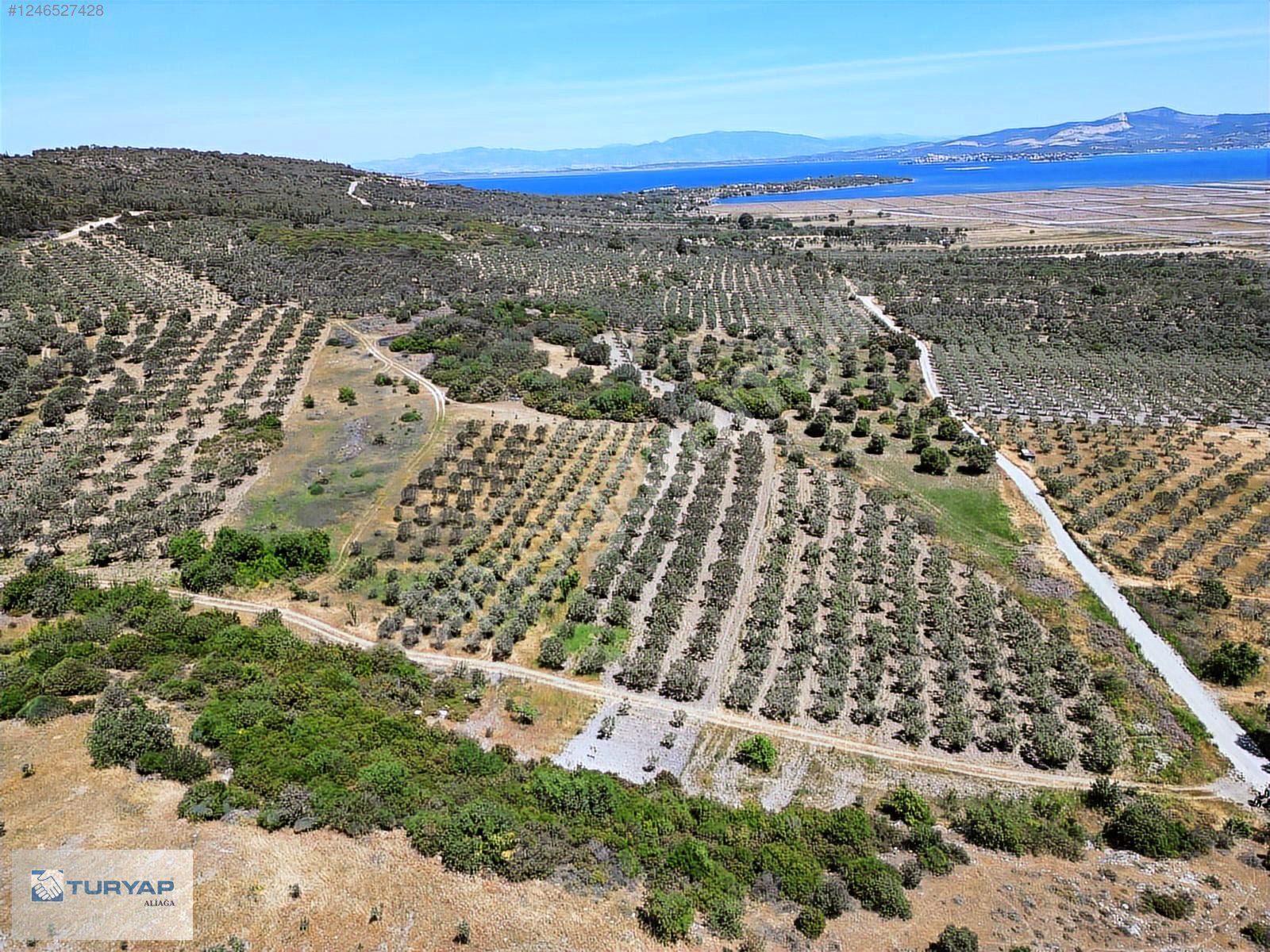 ÇALTILIDERE'DE KUPON SATILIK 4000M2