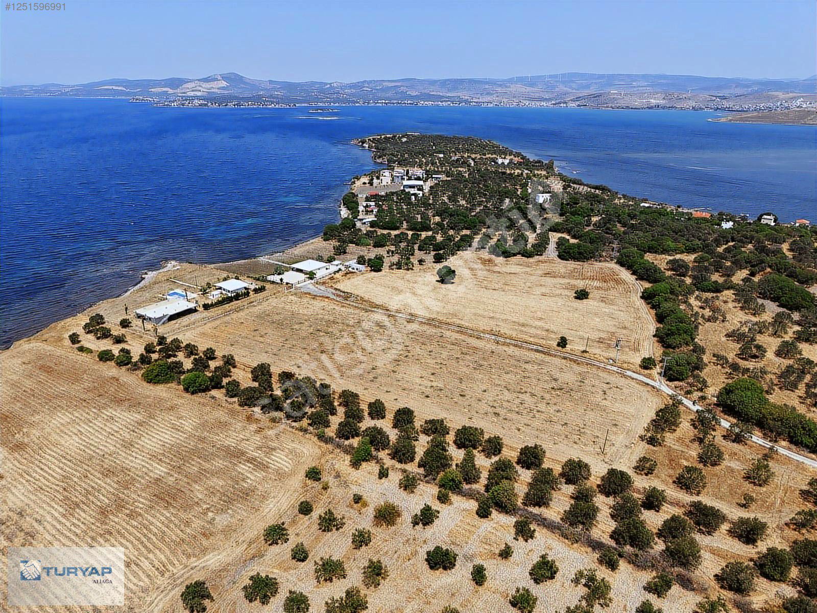 ÇALTILIDERE'DE DENİZE SIFIR FIRSAT TARLA