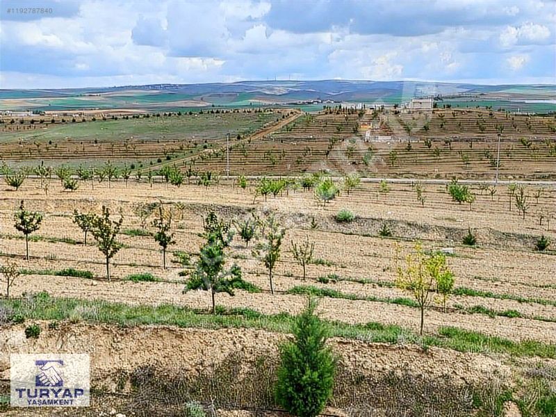 HACITUĞRUL'DA 1000m2 İMARLI VİLLA ARSASI VEYA HOBİ BAHÇESİ