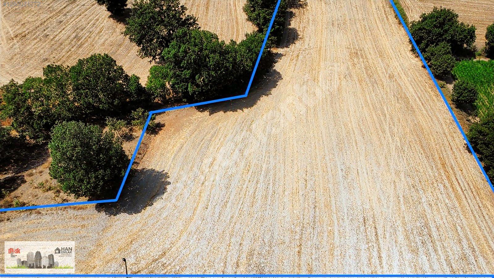 BİGA KAPANBELEN KÖYÜNDE 8250 m2 SATILIK TARLA HAN EMLAK'TAN