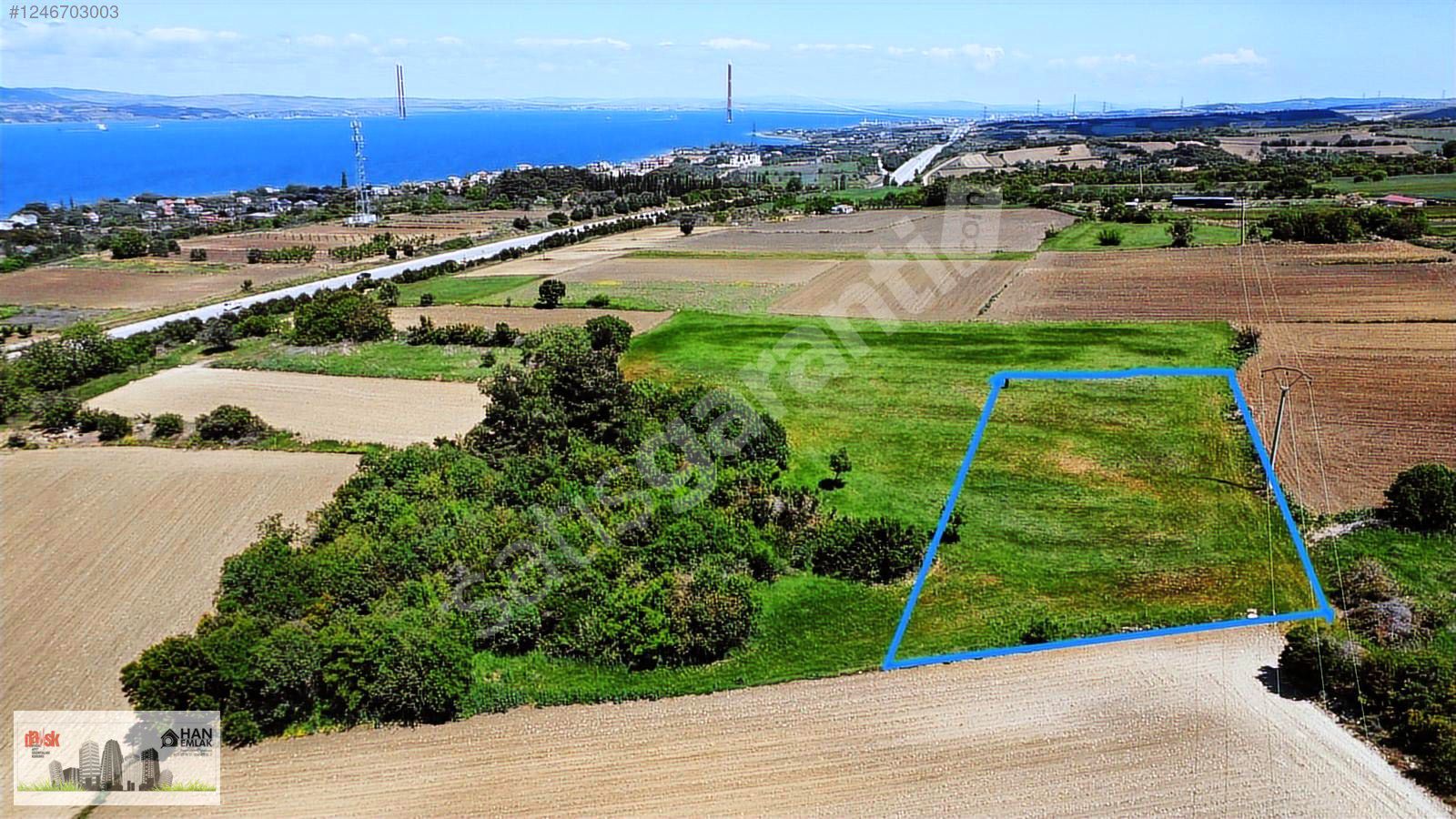 1915 KÖPRÜSÜ MANZARALI 1966 m2 SATILIK TARLA HAN EMLAK'TAN