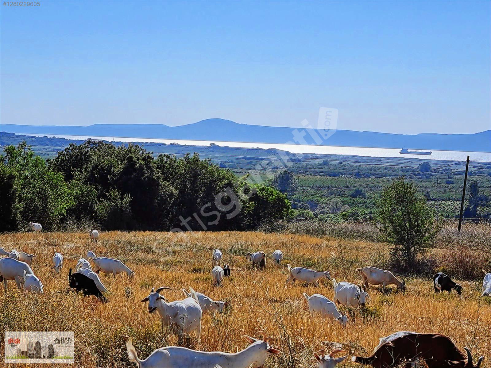 LAPSEKİ KEMİKLİALAN KÖYÜNDE PANORAMİK 6800 m2 SATILIK TARLA