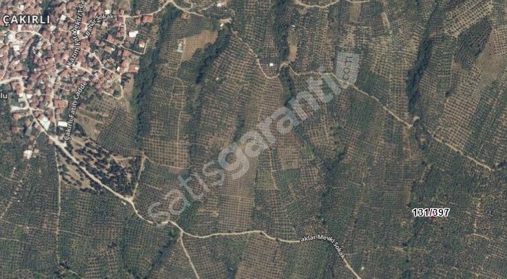 Bursa Orhangazi Çakırlı Mah 322 m2 satılık zeytinlik