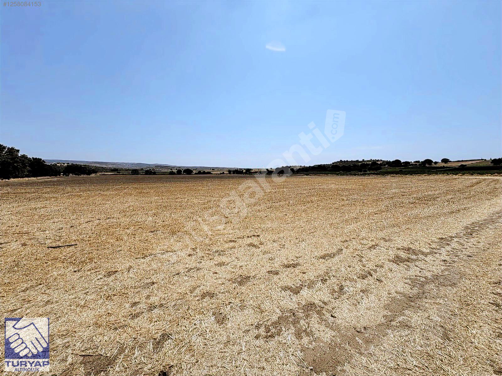 AYVACIK KÖSEDERE KÖYÜNDE DENİZE 1KM SATILIK TARLA