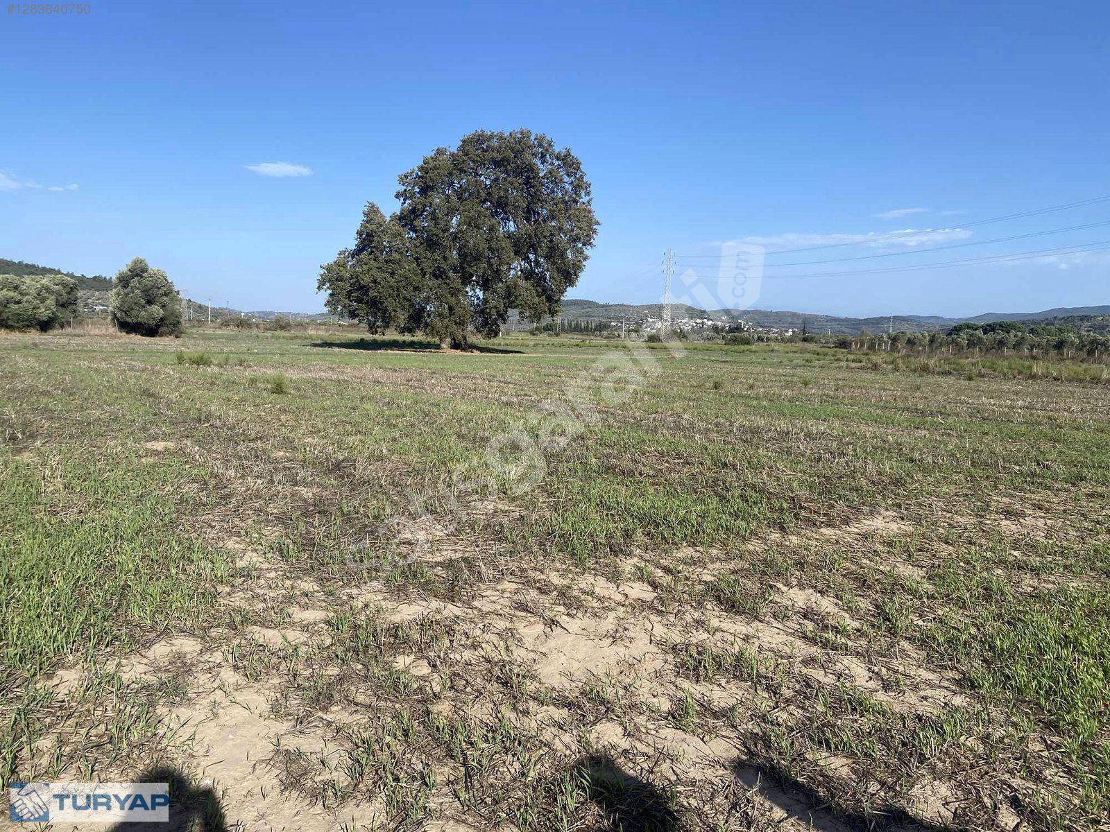 BODRUM SAZKÖY DE SATILIK TARLA