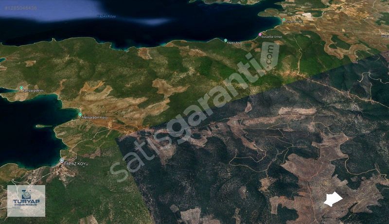 KIYIKIŞLACIKTA SATILIK FIRSAT YATIRIMLIK ZEYTİNLİK