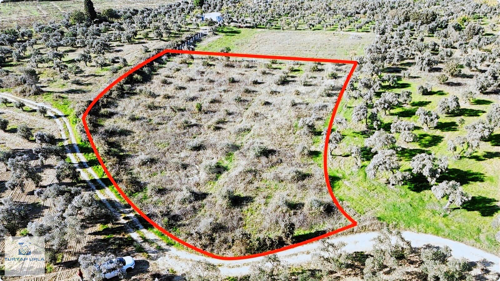 TURYAP'tan Torbalı G.Mustafa Kemal'de TEK TAPU Fırsat Tarla