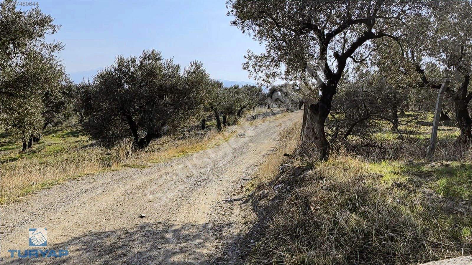 Torbalı Yazıbaşı Mah 9100m2 Müstakil Parsel Tarla