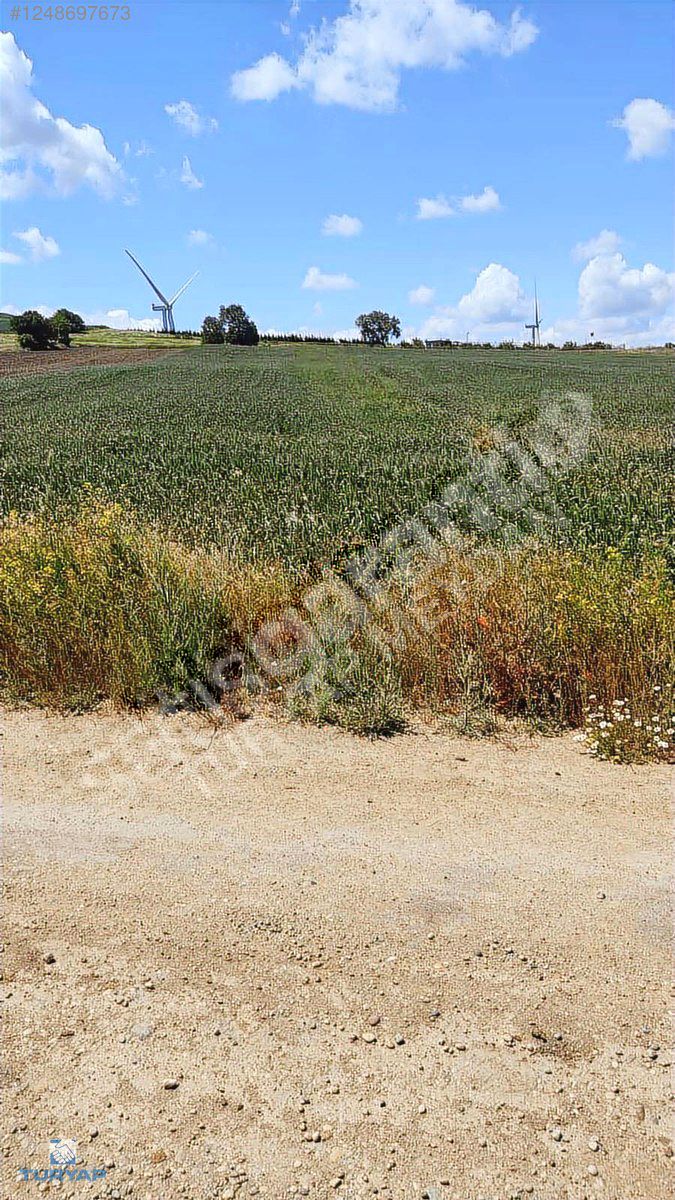 SİLİVRİ BÜYÜKKILIÇLI YOLA CEPHELİ MÜSTAKİL TARLA