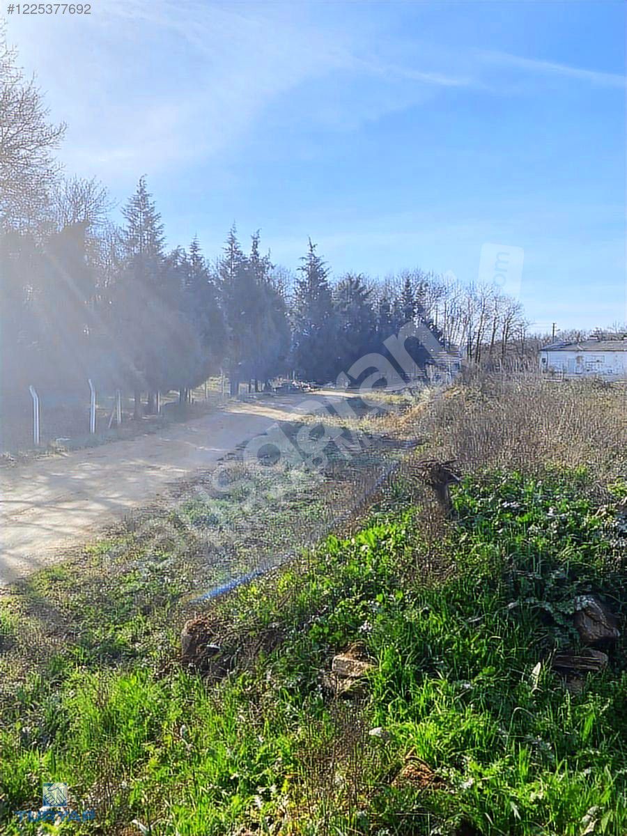 Pelitlide 3100 m2 MÜKEMMEL YATIRIMLIK 40M ASFALT CEPHELİ