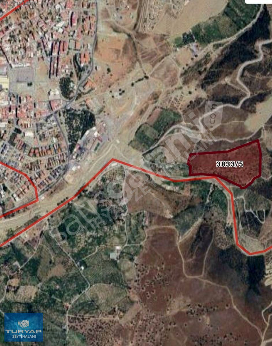 Seferihisar Hastane Yakını Yatırımlık 57 Dönüm Zeytinlik