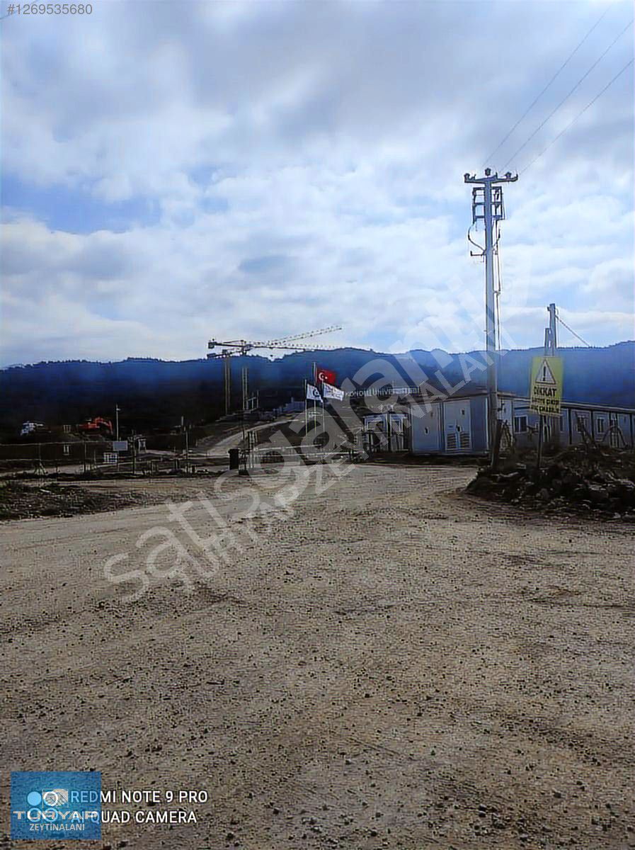 Güzelbahçe Ekonomi Üniversitesi Yakını Satılık Zeytinlik