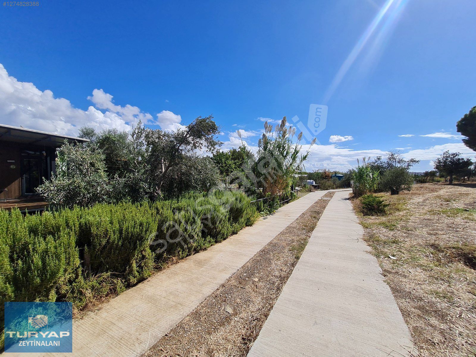 Urla Bademler'de Satılık Son 5 Parsel Kooperatif Hissesi