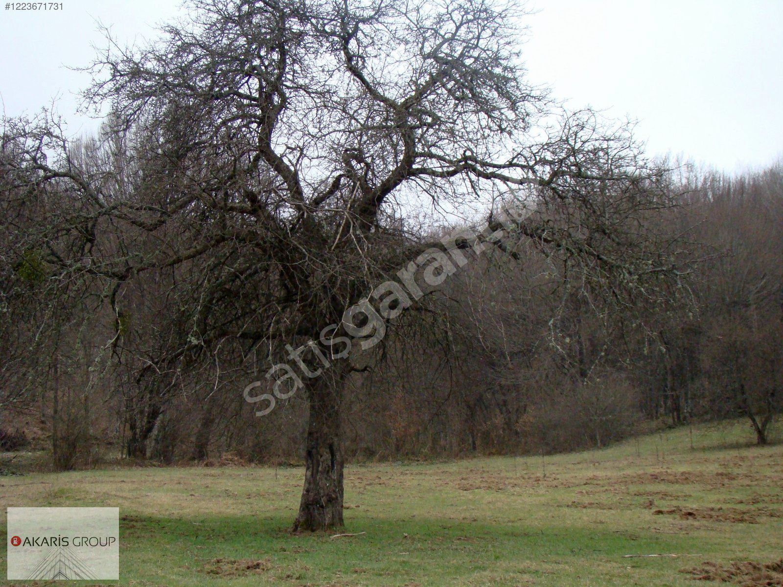 Demirköy Balaban Orman içinde ResmiYollu Satılık Müstakil Tarla