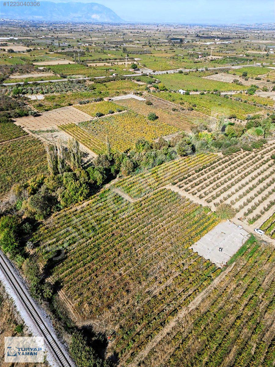 DERBENT OVASINDA SONDAJI BULUNAN SATILIK ÜZÜM BAĞI